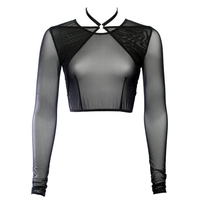 Black Mesh Choker Crop Top With Long Sleeves by Flash you and me