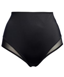 Black High Waist Bikini Bottoms With Sheer Mesh Detailing