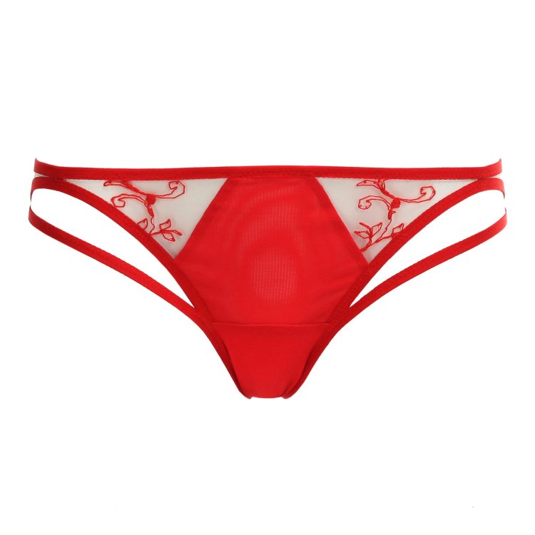 Red Mesh Panties with Lace and Leg Straps