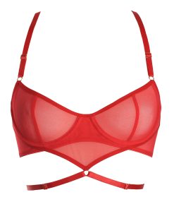 Red Mesh Underwire Bra With Triangle and Bondage Detailing