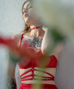 Red Mesh Underwire Bra With Bondage Straps