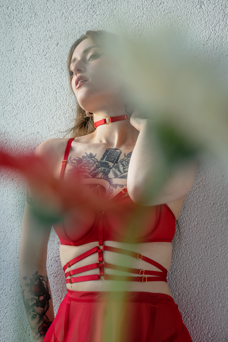 Red Mesh Underwire Bra With Bondage Straps