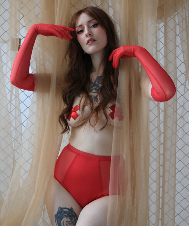 Red Mesh High Waist Panties With Layering In The Front