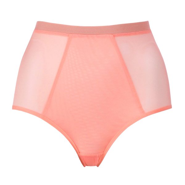 High Waist Peach Mesh Panties by Flash lingerie