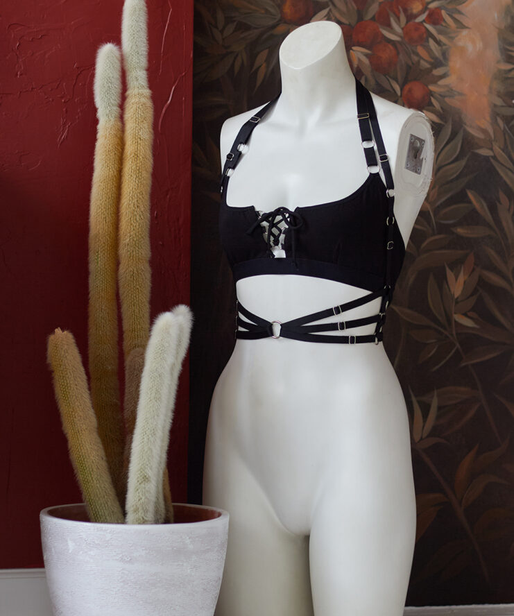 Waist Harness and laced up top